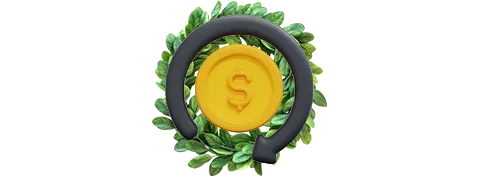 Бонус при пополнении через Vowwallet